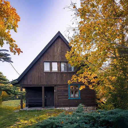 Dom Pod Klonem Na Kaszubach Vila Kościerzyna Exterior foto