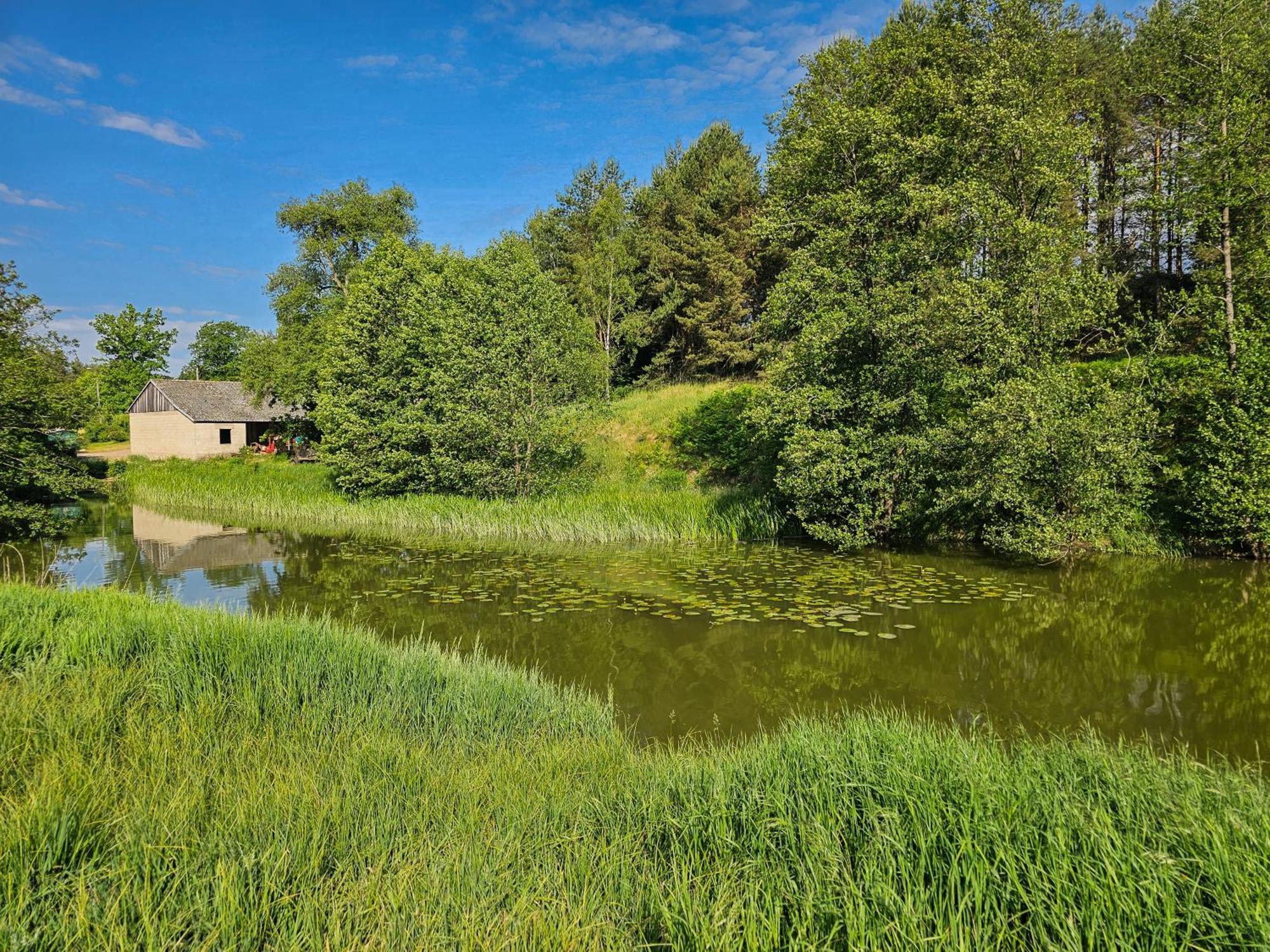 Dom Pod Klonem Na Kaszubach Vila Kościerzyna Exterior foto