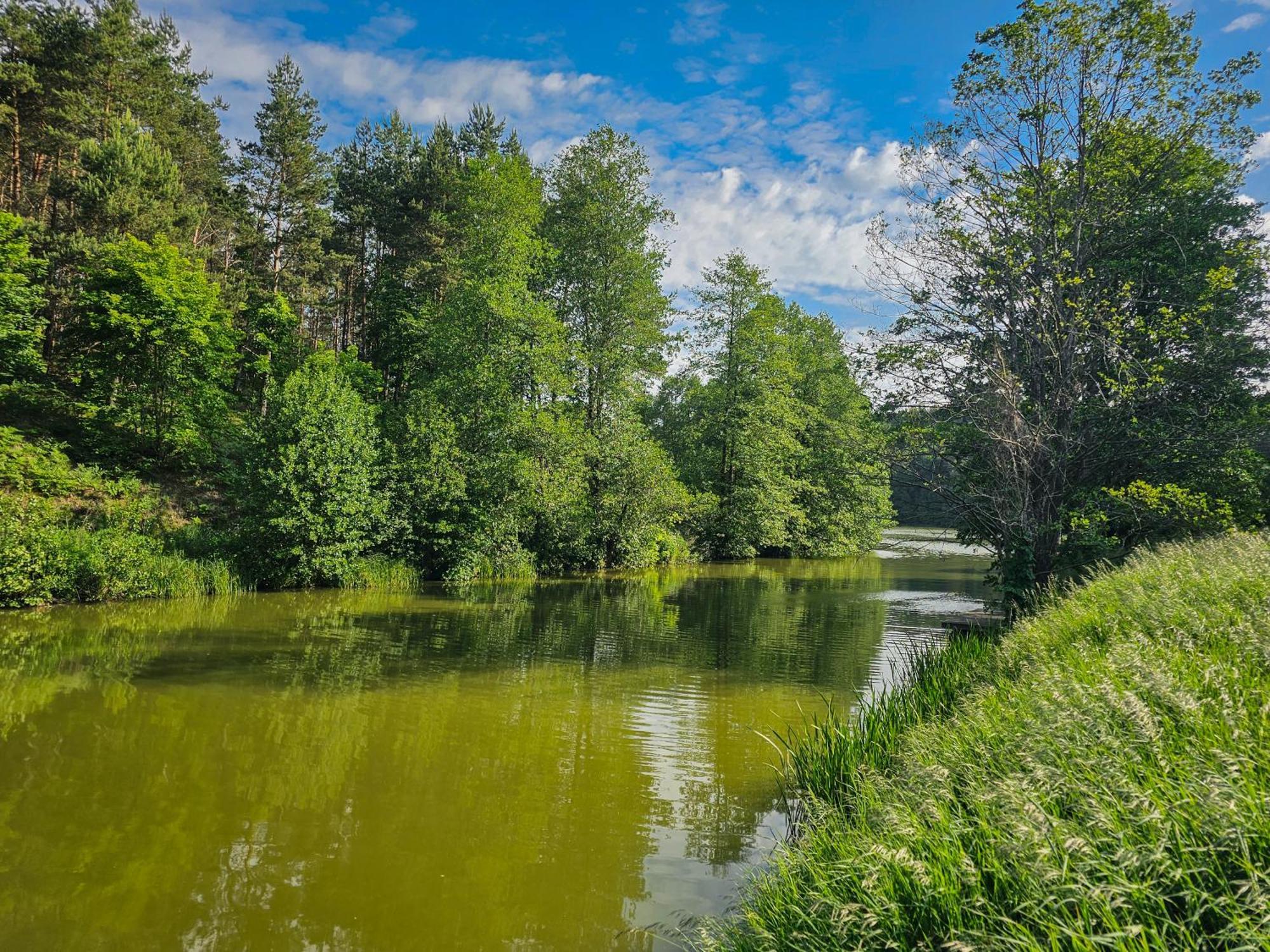 Dom Pod Klonem Na Kaszubach Vila Kościerzyna Exterior foto
