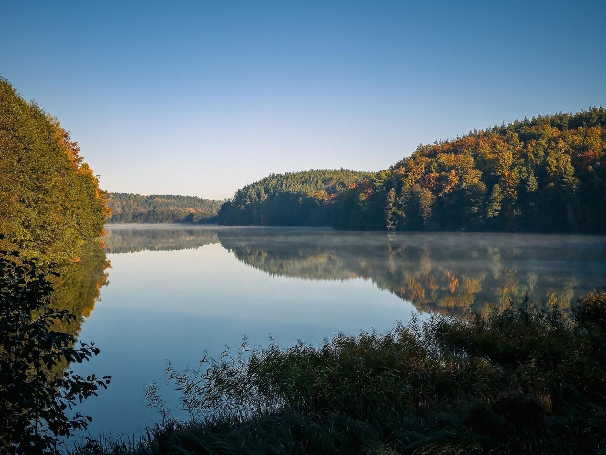 Dom Pod Klonem Na Kaszubach Vila Kościerzyna Exterior foto