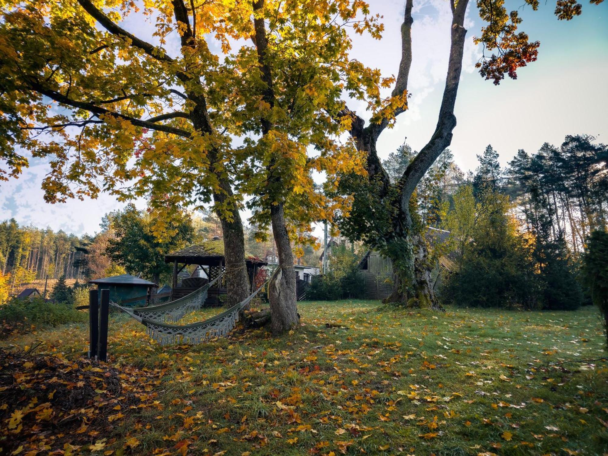 Dom Pod Klonem Na Kaszubach Vila Kościerzyna Exterior foto
