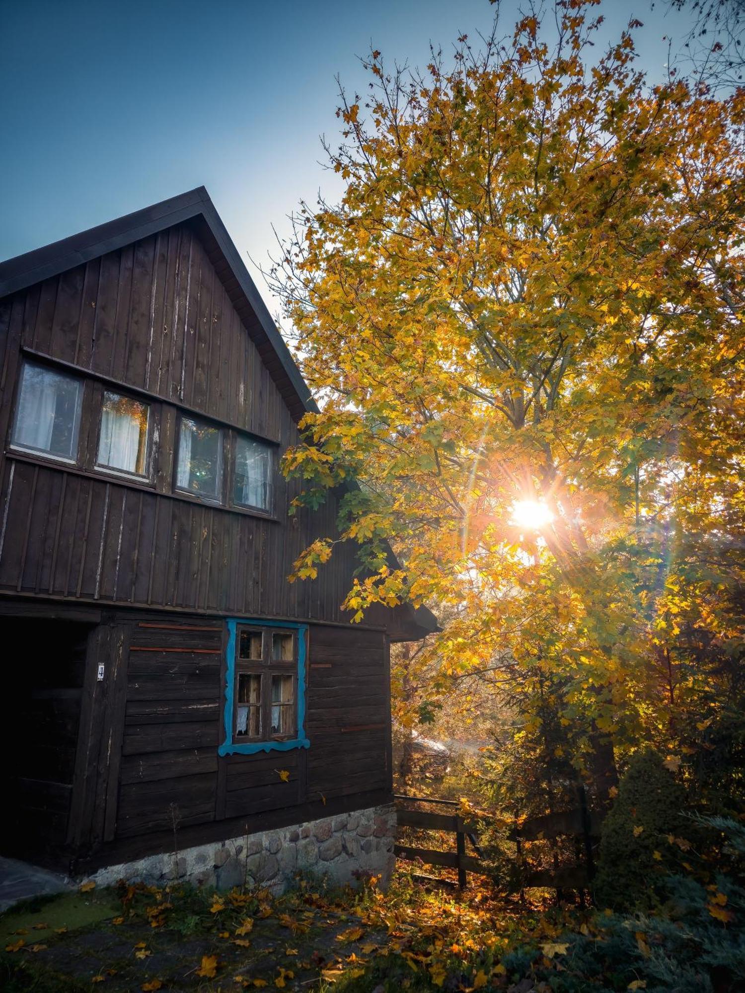 Dom Pod Klonem Na Kaszubach Vila Kościerzyna Exterior foto