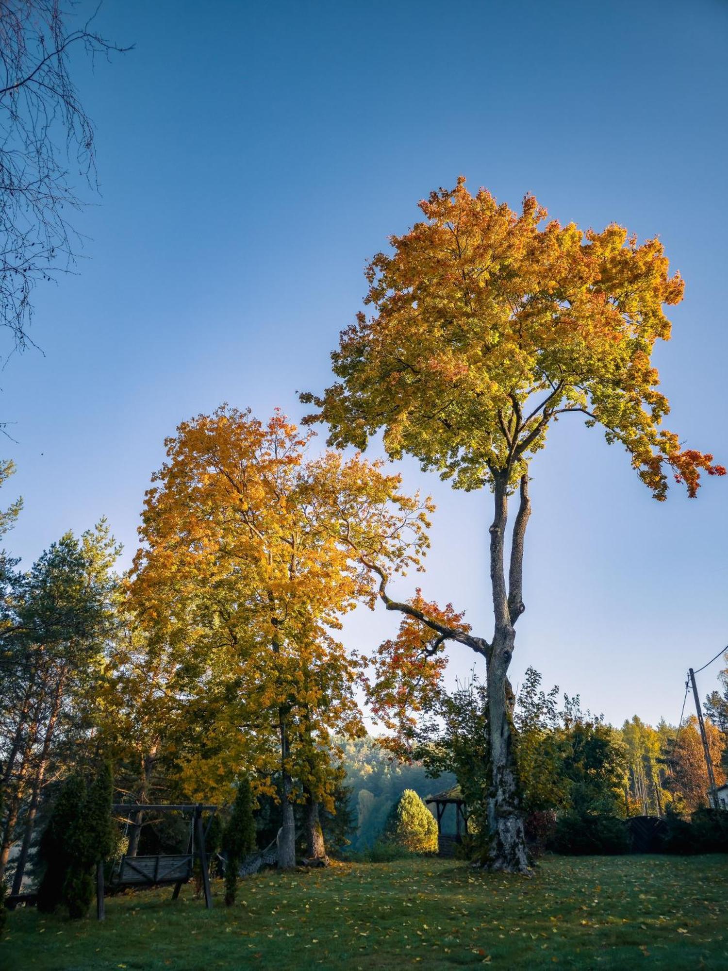 Dom Pod Klonem Na Kaszubach Vila Kościerzyna Exterior foto