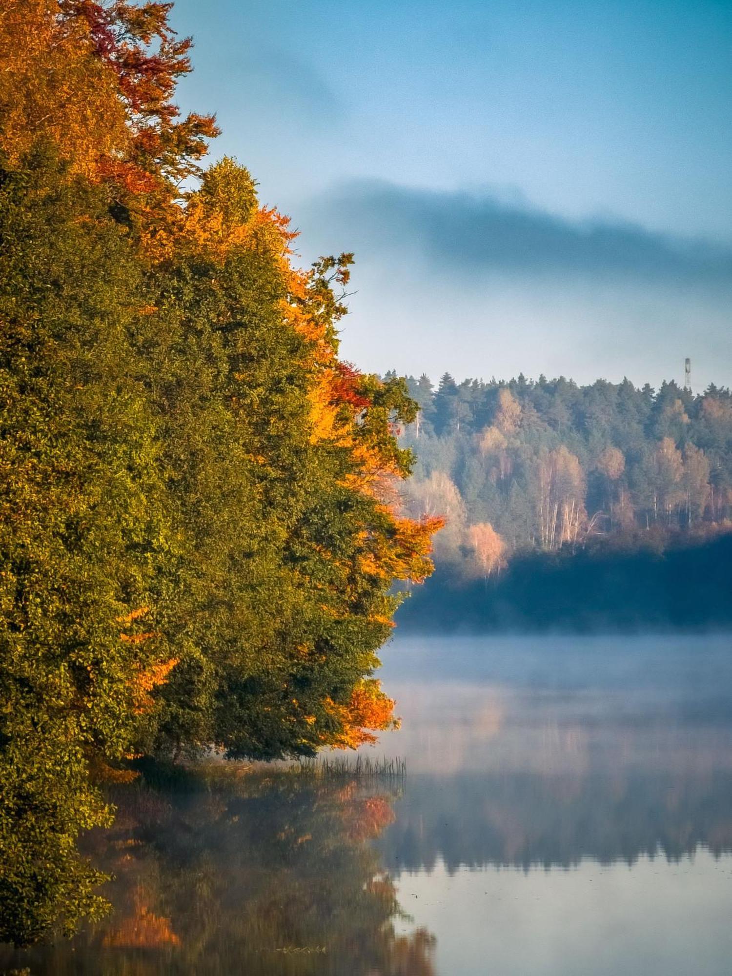 Dom Pod Klonem Na Kaszubach Vila Kościerzyna Exterior foto