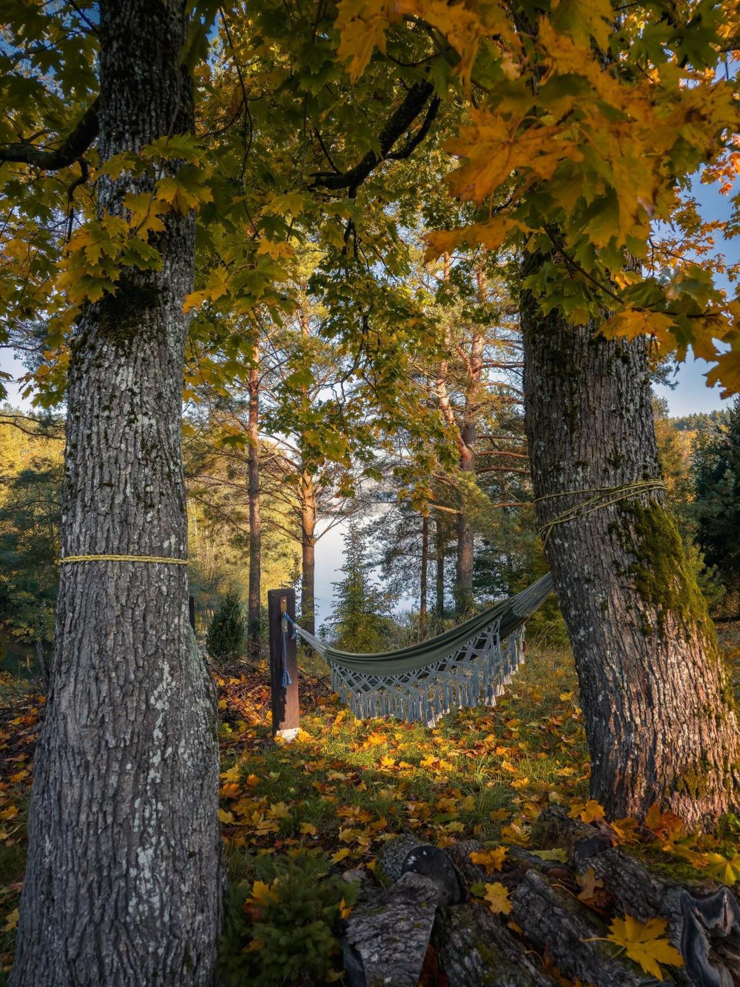 Dom Pod Klonem Na Kaszubach Vila Kościerzyna Exterior foto