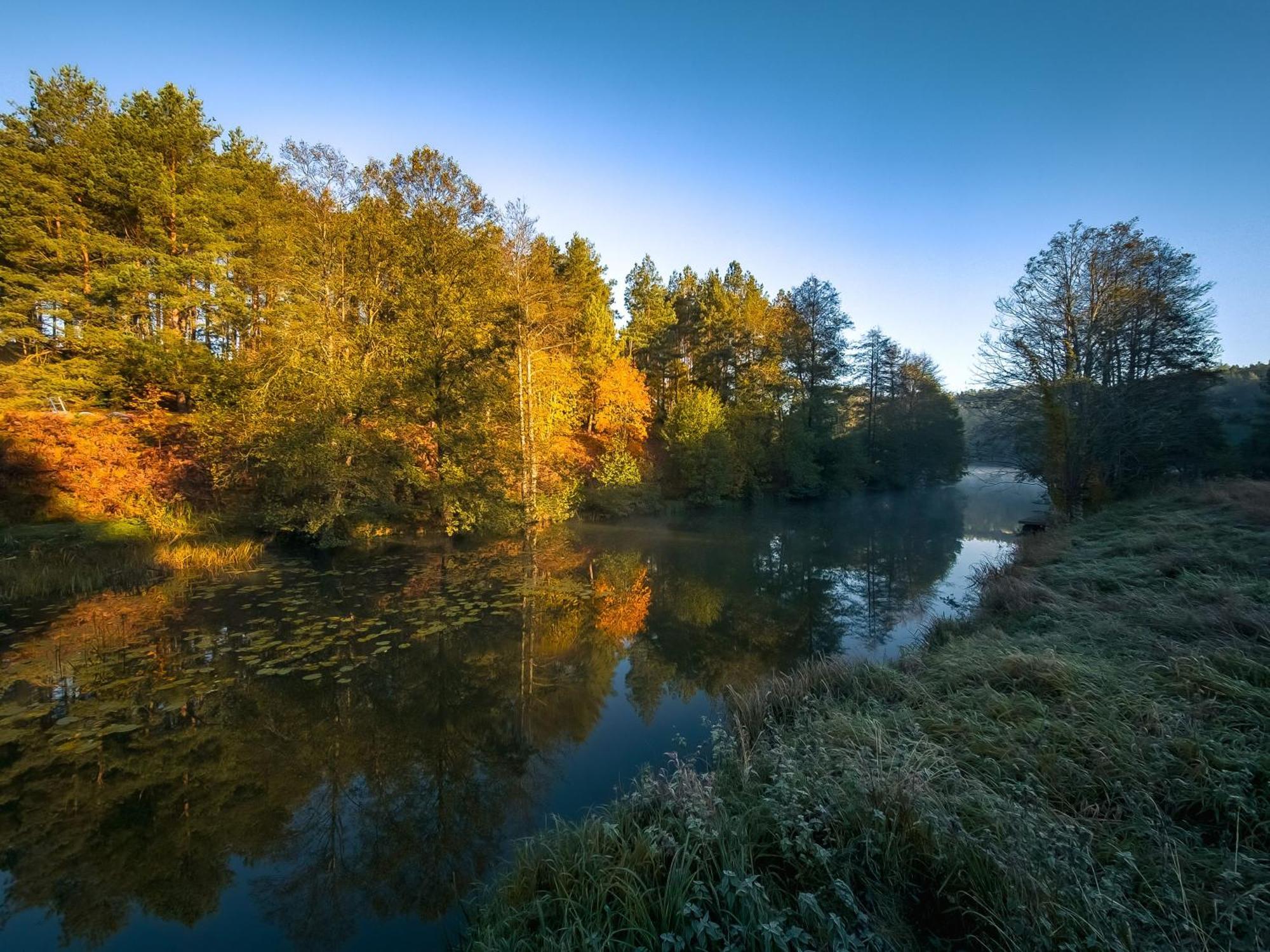 Dom Pod Klonem Na Kaszubach Vila Kościerzyna Exterior foto
