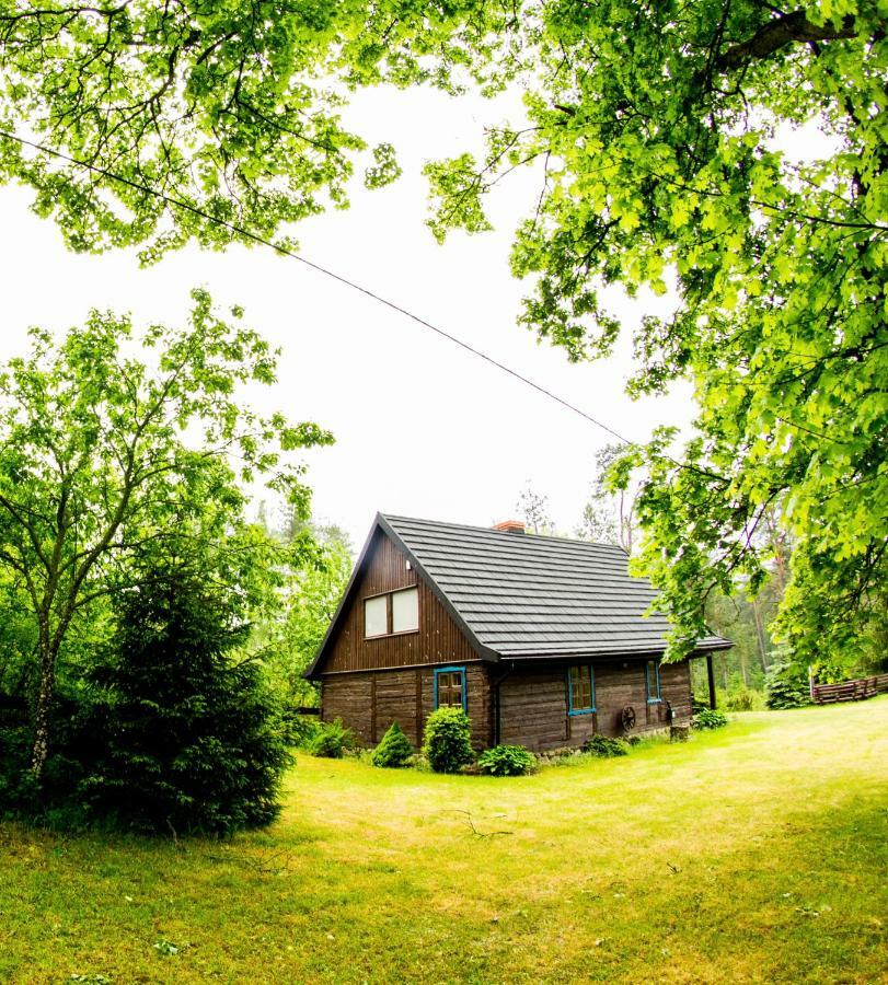 Dom Pod Klonem Na Kaszubach Vila Kościerzyna Exterior foto