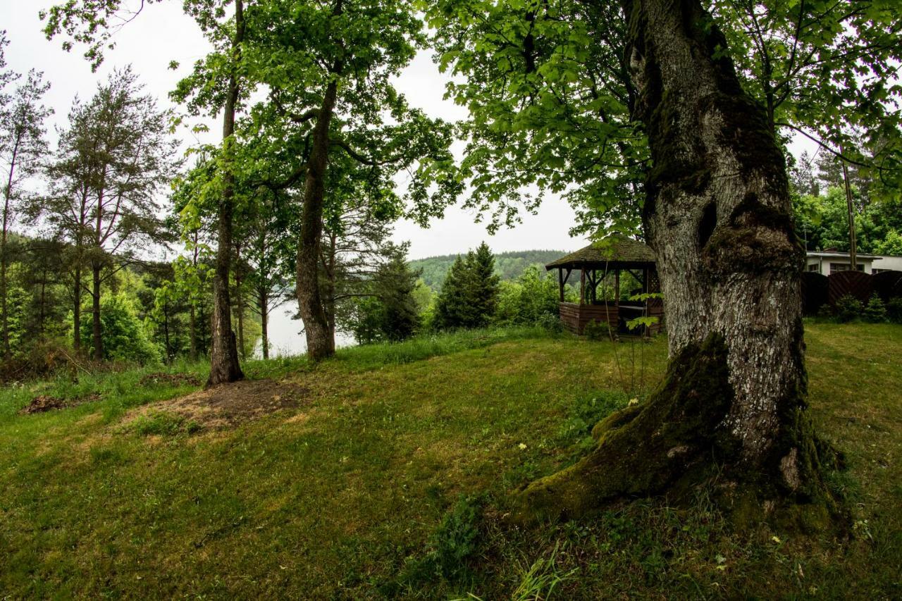 Dom Pod Klonem Na Kaszubach Vila Kościerzyna Exterior foto