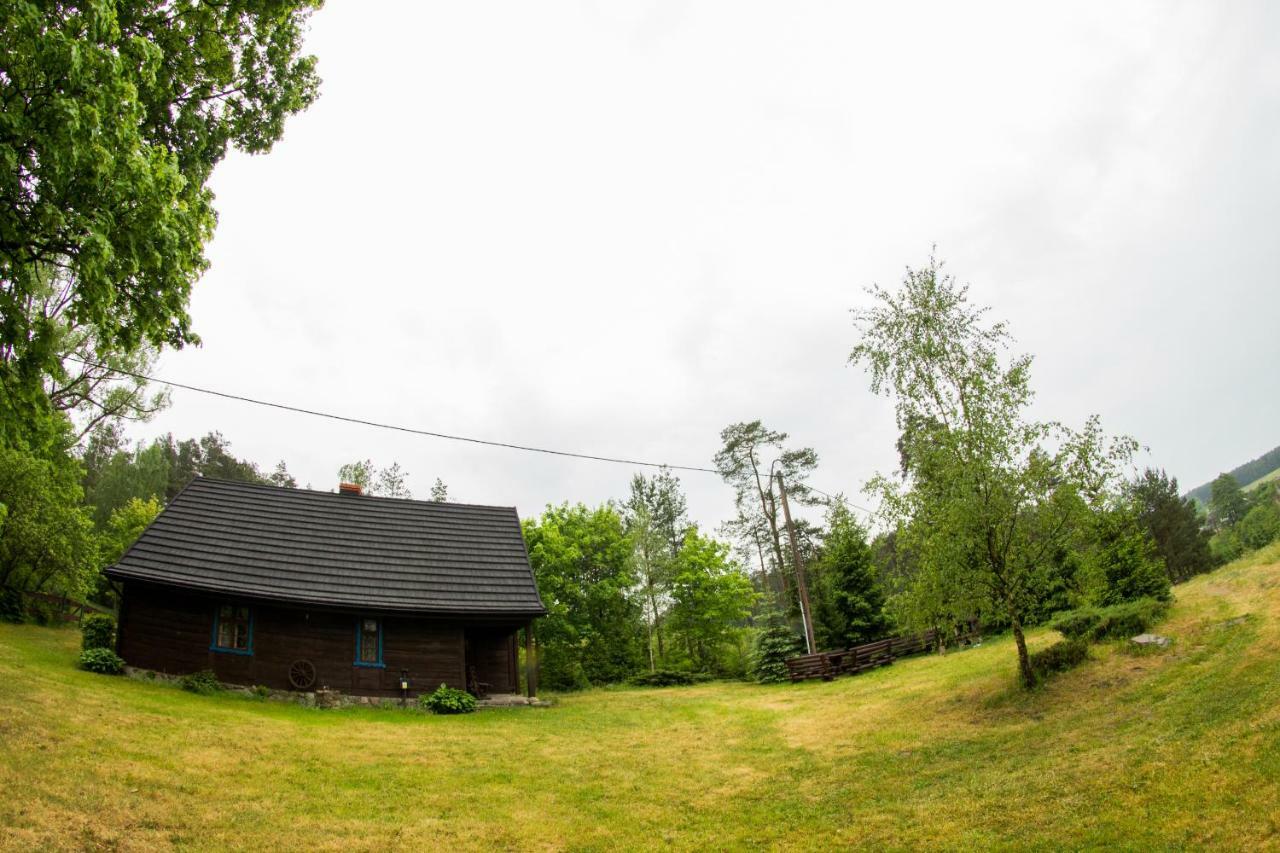 Dom Pod Klonem Na Kaszubach Vila Kościerzyna Exterior foto