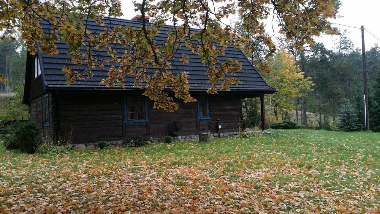 Dom Pod Klonem Na Kaszubach Vila Kościerzyna Exterior foto