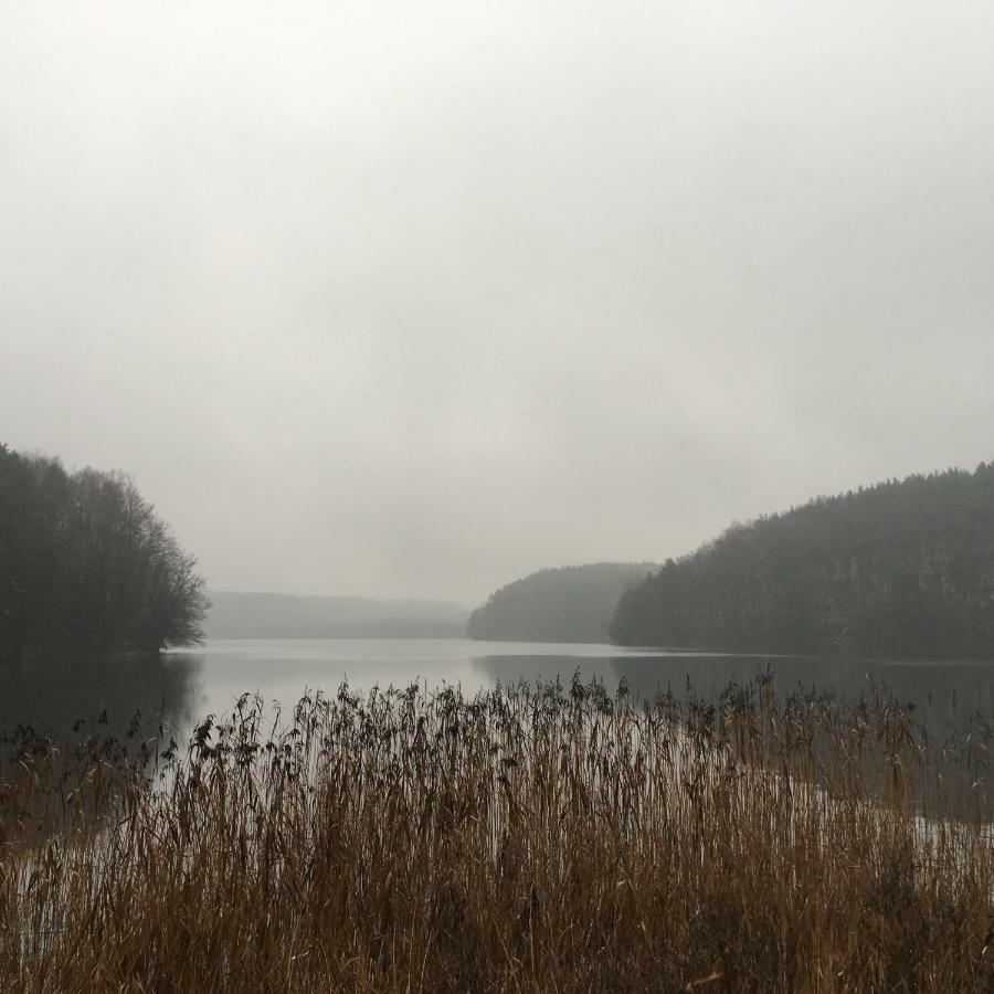 Dom Pod Klonem Na Kaszubach Vila Kościerzyna Exterior foto