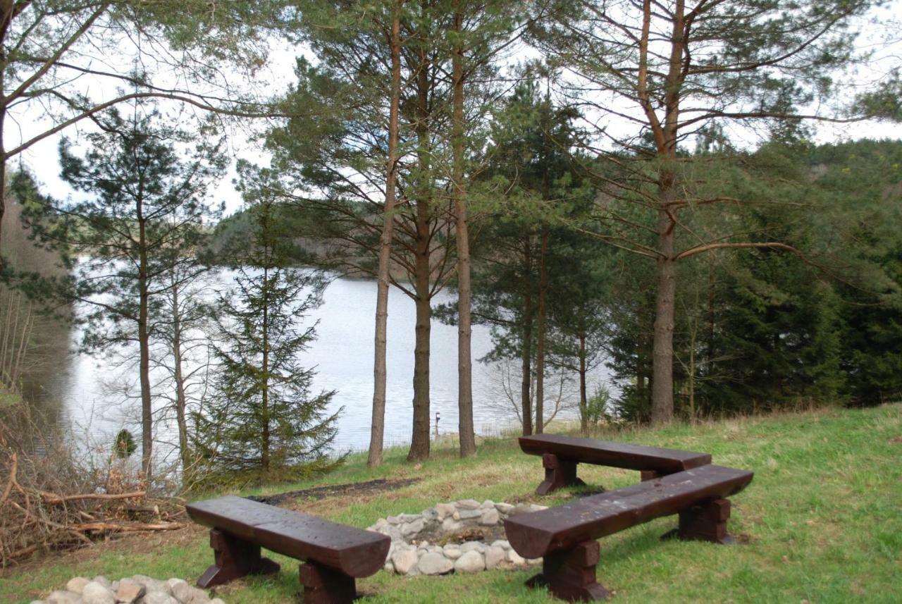 Dom Pod Klonem Na Kaszubach Vila Kościerzyna Exterior foto